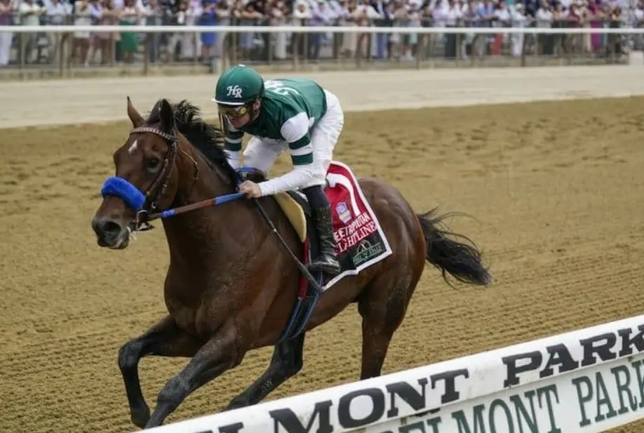 Breeders Cup Odds 2024